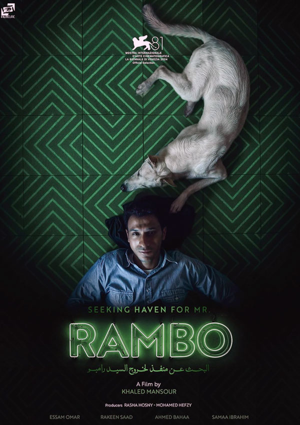 Seeking Haven for Mr. Rambo