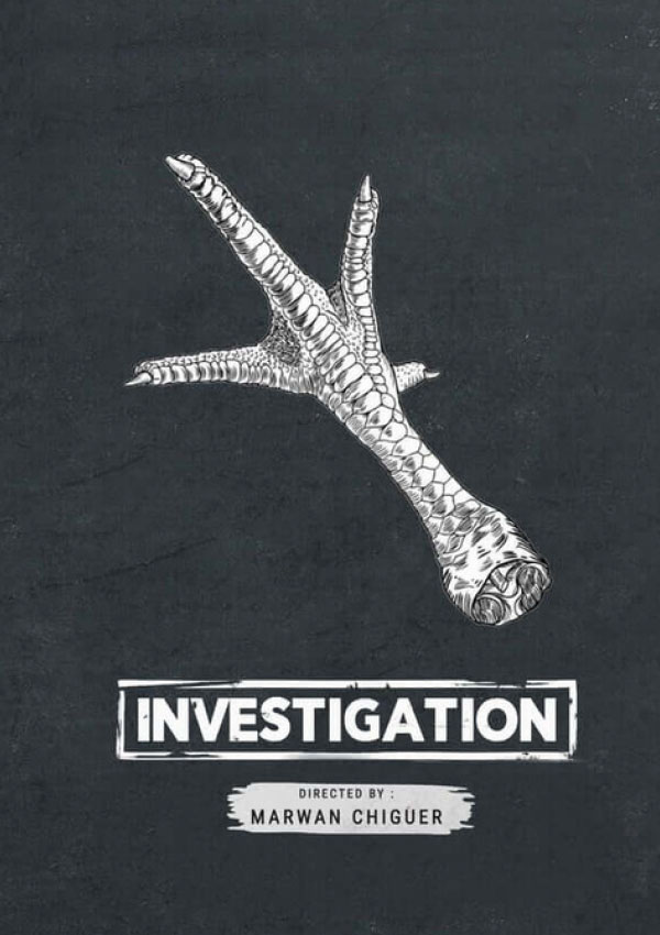 Investigation